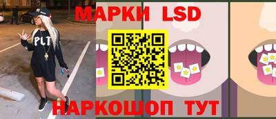 Альфа ПВП Гатчина