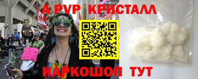 крисы Гай