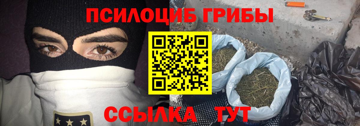 Галлюциногенные грибы мицелий  продажа наркотиков  Кириши  Вход с VPN 